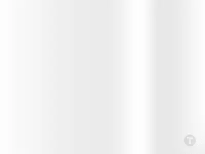 Oracal 651 010 white vinyl glossy